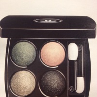 YOU HAVE BEAUTIFUL EYES (with CHANEL new Quadra eyeshadow)